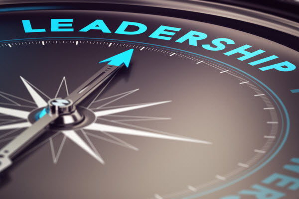 The Five Roles of a CEO